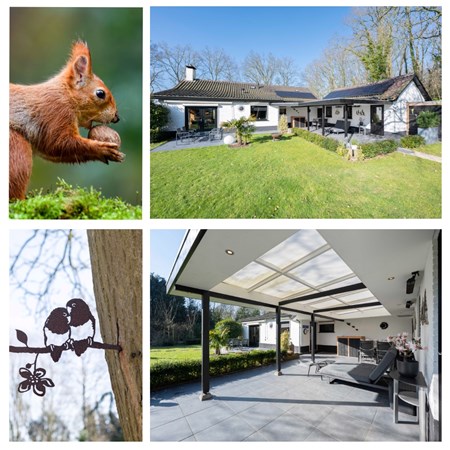 Medium property photo - Bosschenhoofdsestraat 23, 4744 RS Bosschenhoofd